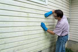 Best Wood Siding Installation  in Lindenwold, NJ